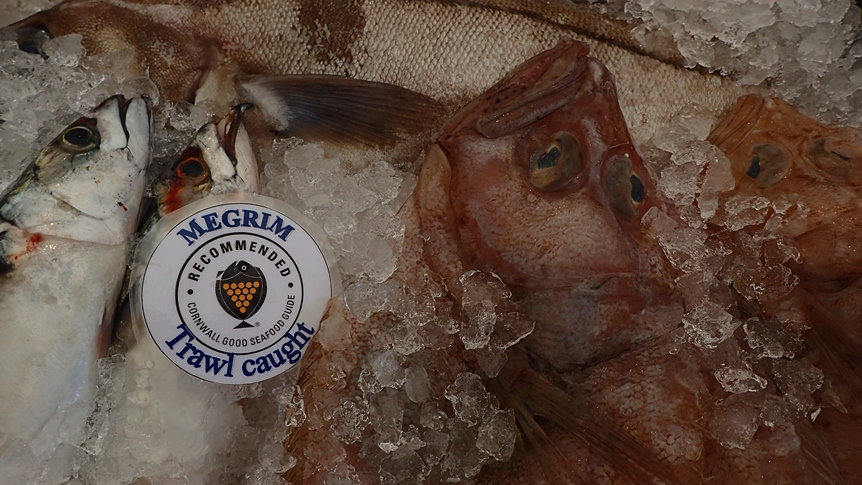 Cornwall Wildlife Trust urges the public to support local fisherman by buying local sustainable seafood!
