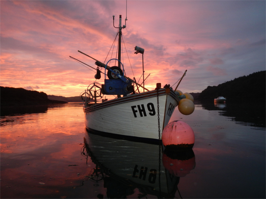 Autumn is a great time for sustainable seafood