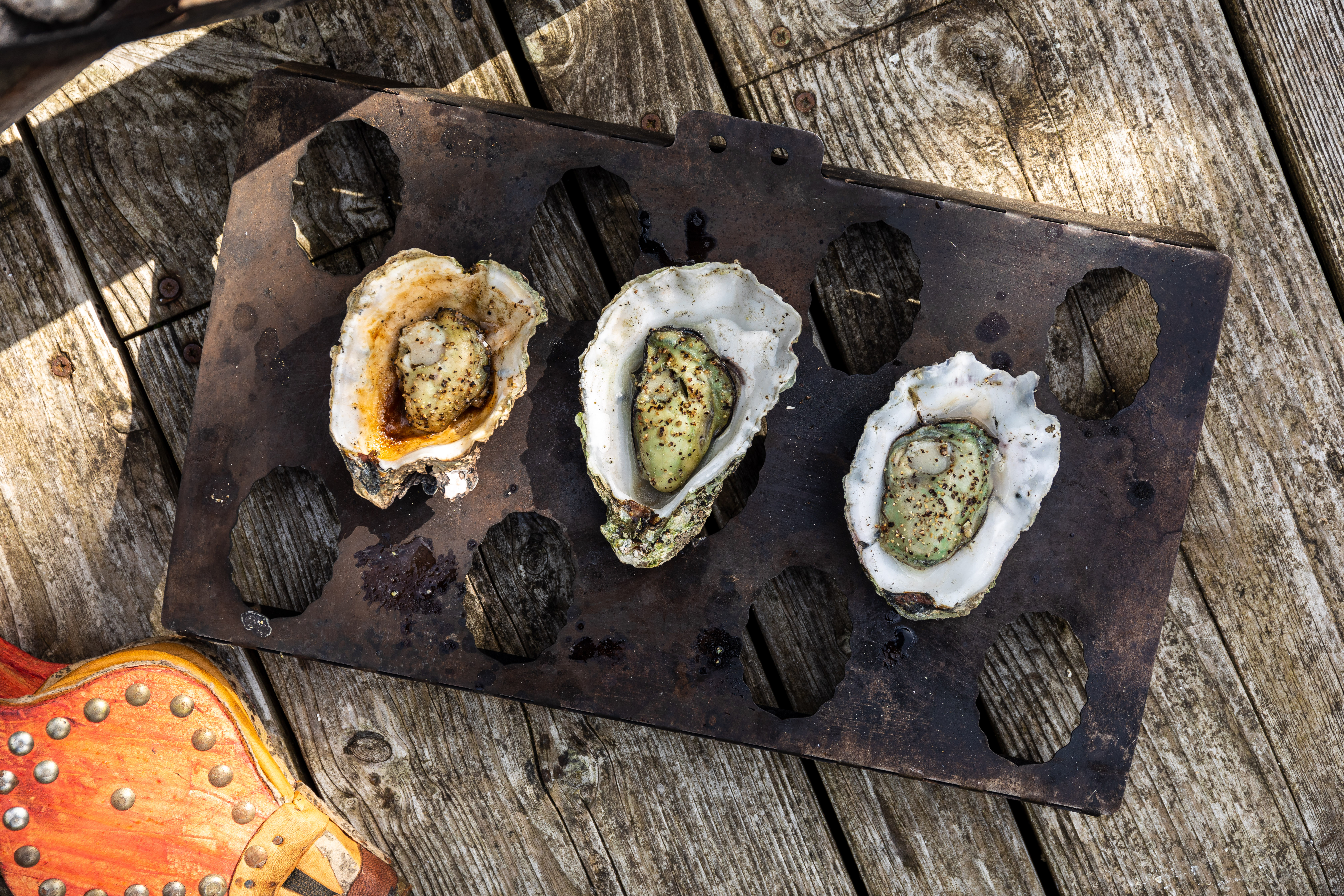 BBQ Oysters by Mike Searle